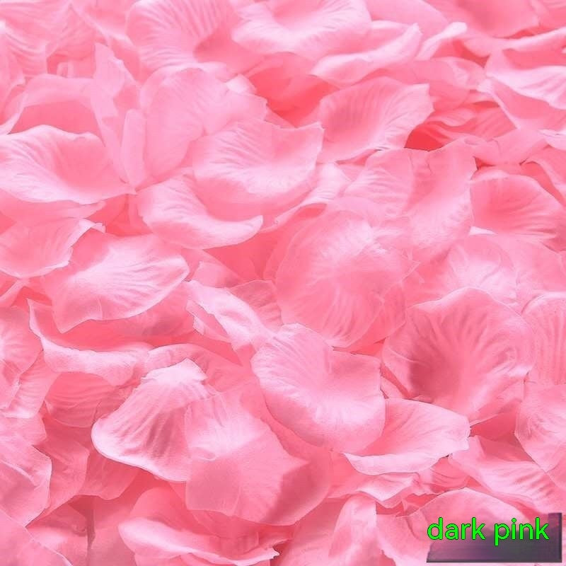 Rose Petals Hand-Sprinkling Romantic Atmosphere