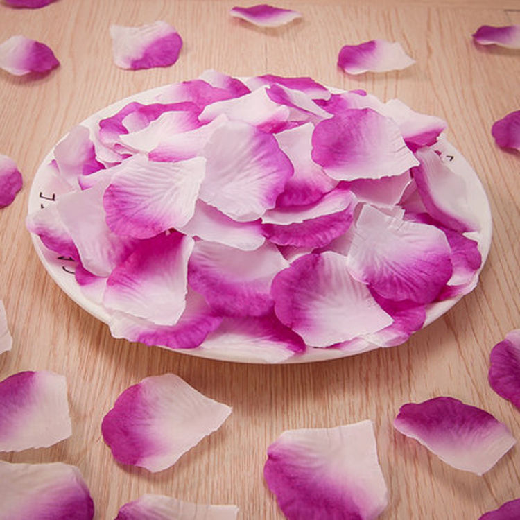 Quality Imitation Rose Petals
