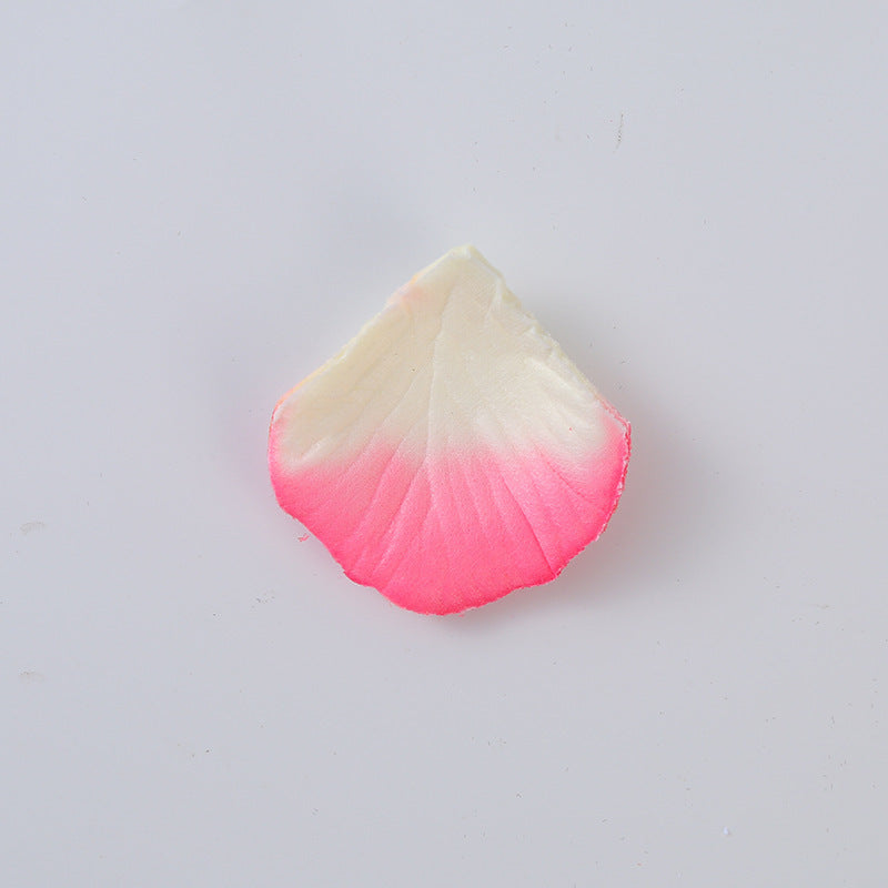 Rose Petals Hand-Sprinkling Romantic Atmosphere