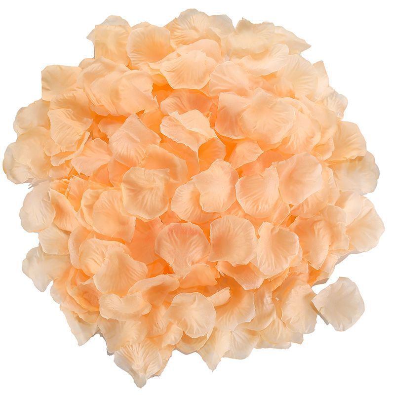 Rose Petals Hand-Sprinkling Romantic Atmosphere