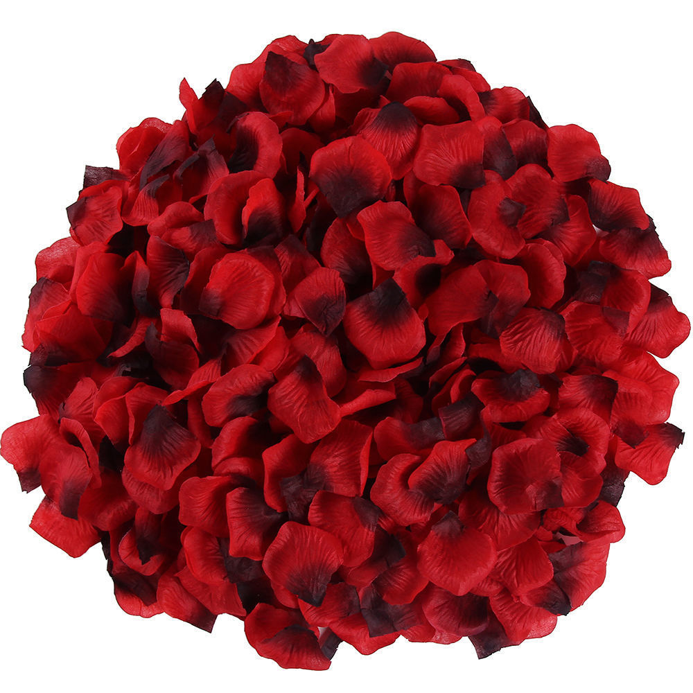 Rose Petals Hand-Sprinkling Romantic Atmosphere