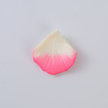Rose Petals Hand-Sprinkling Romantic Atmosphere