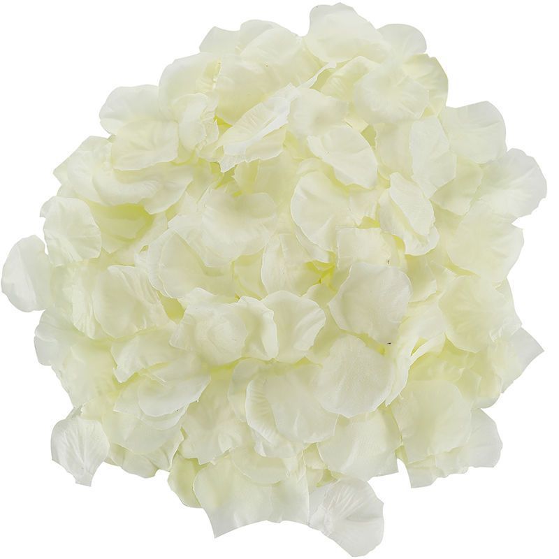 Rose Petals Hand-Sprinkling Romantic Atmosphere