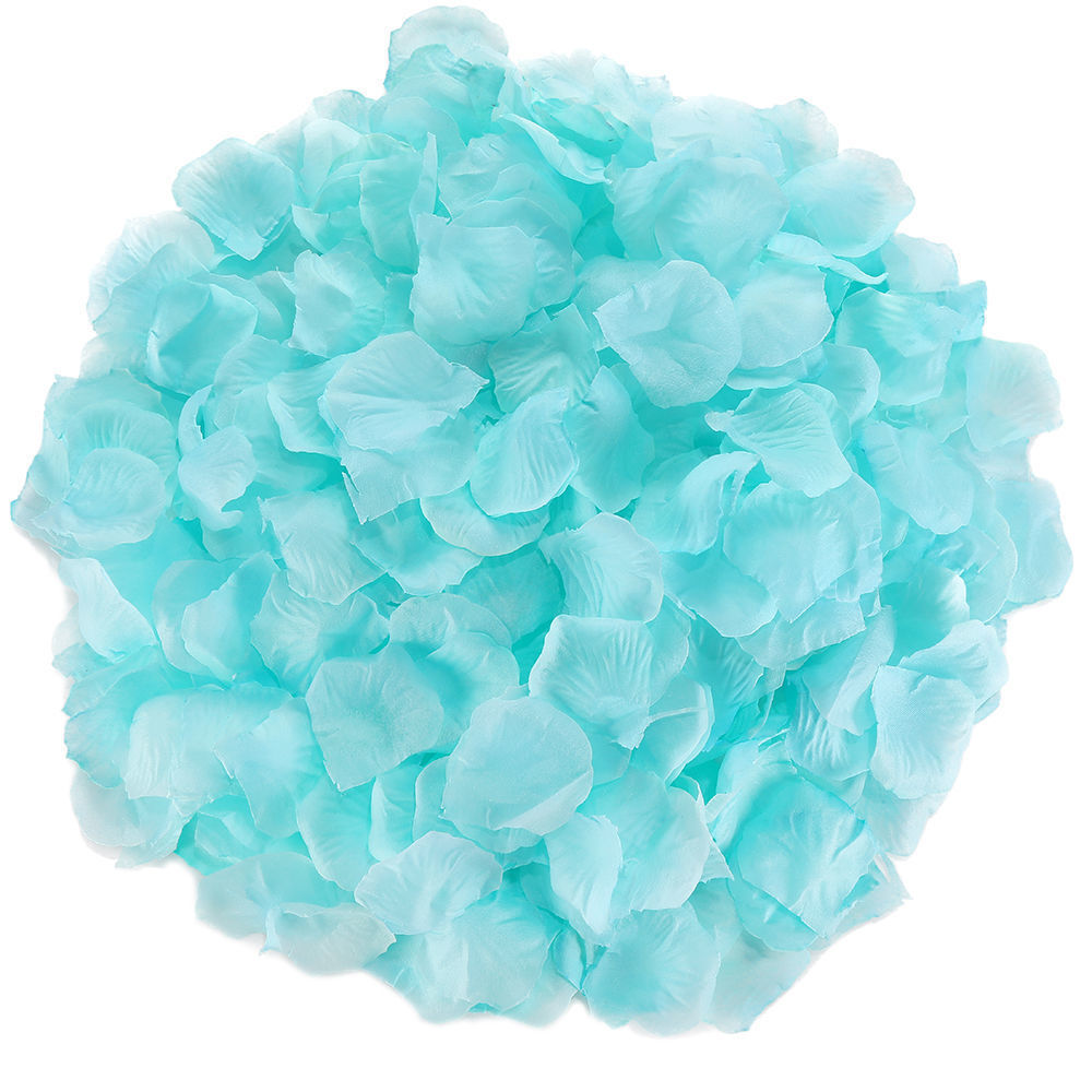 Rose Petals Hand-Sprinkling Romantic Atmosphere