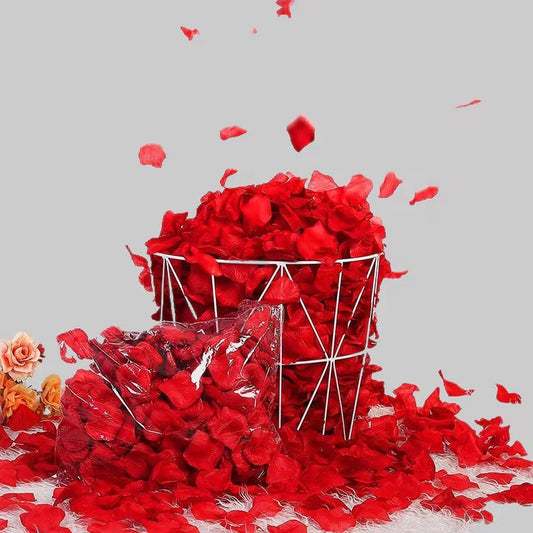 Rose Petals Hand-Sprinkling Romantic Atmosphere