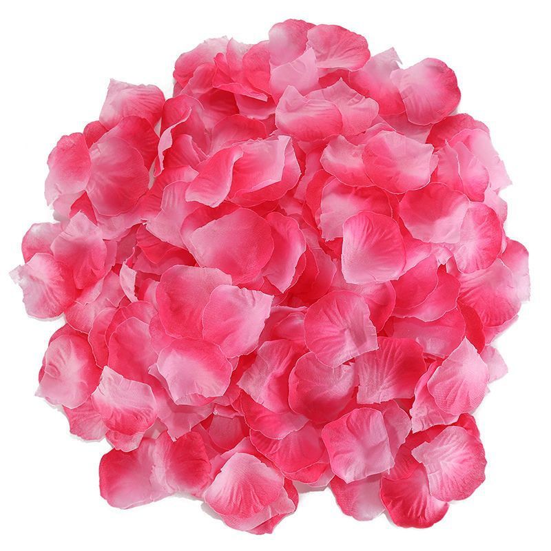 Rose Petals Hand-Sprinkling Romantic Atmosphere